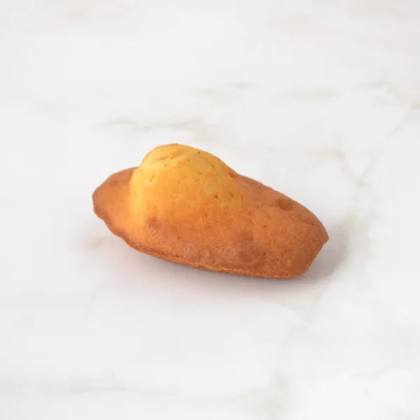 瑪德蓮 madeleine view